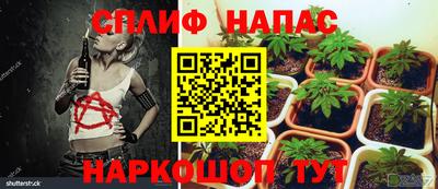 PSILOCYBIN Бузулук
